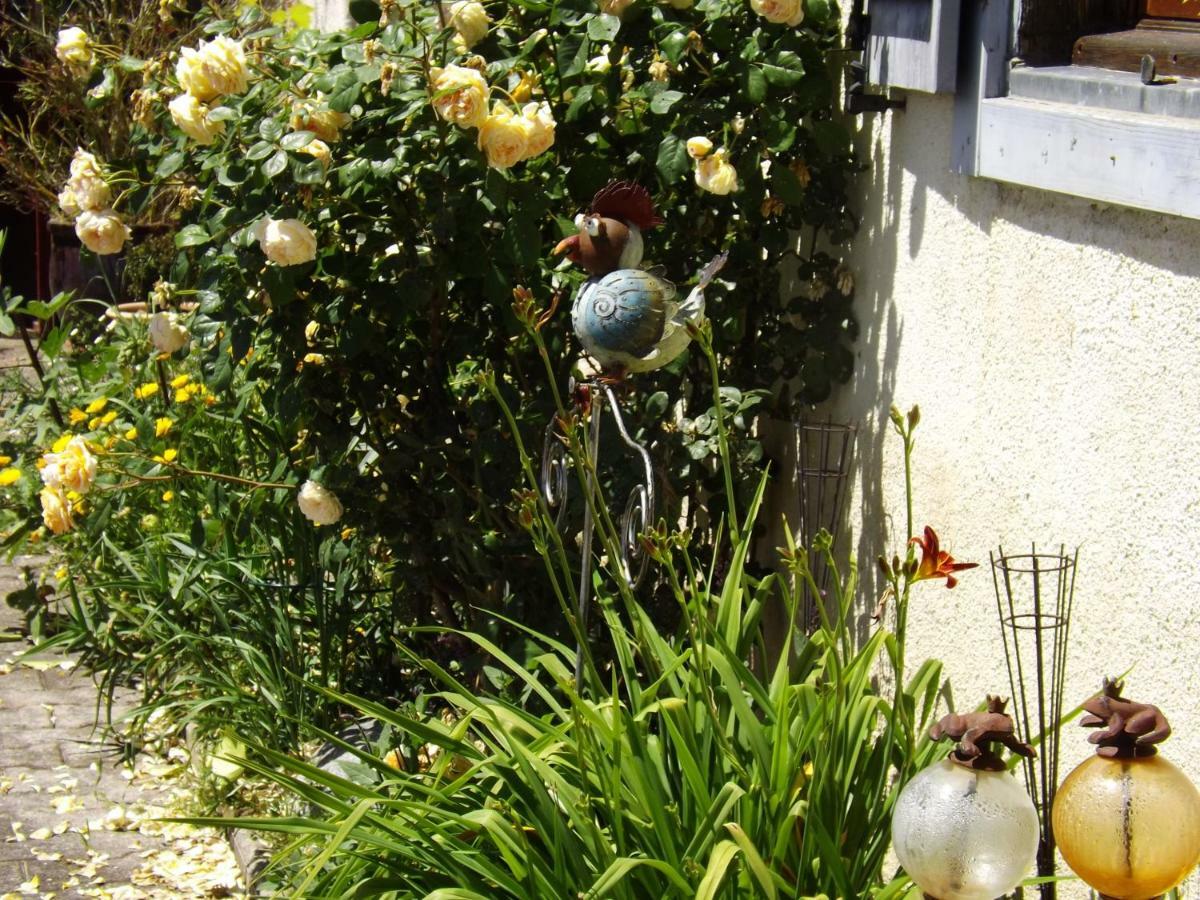 Gite Perisse, Le Petit Gite Apartment Libaros ภายนอก รูปภาพ